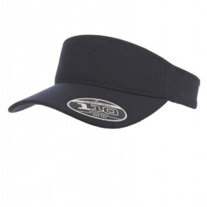 110 Visor