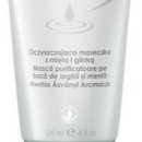 MASCA PURIFICATOARE PE BAZA DE ARGILA SI MENTA
