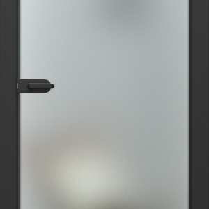 PORTA Glass Usi sticla transparenta cu Toc Metalic