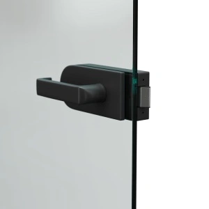 PORTA Glass Usi sticla transparenta cu Toc Metalic - Img 5