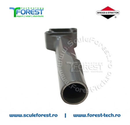Galerie de admisie Briggs &amp; Stratton Classic - Img 7