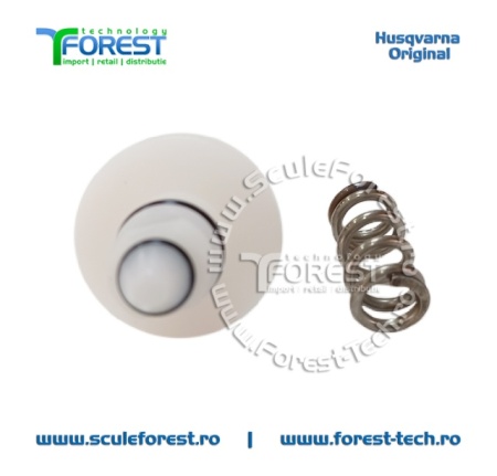 Kit de reparatie (arc si supapa) pentru PW 235, PW 235R, PW 345C - Img 3