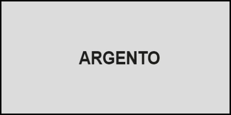Email sintetic VERNICIONE culoare ARGINTIU - 125ml - Img 2