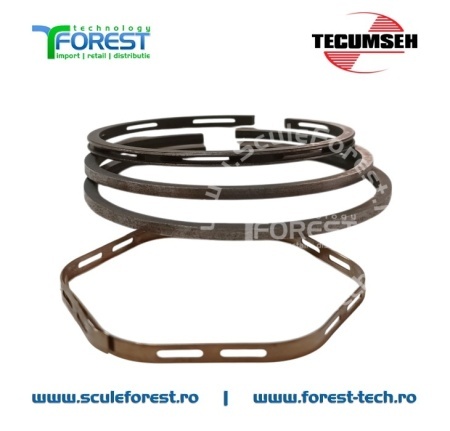 Set segmenti motor 4 timpi Tecumseh - Img 2