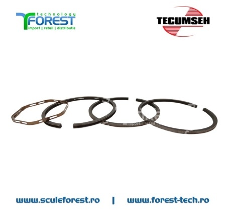 Set segmenti motor 4 timpi Tecumseh - Img 3
