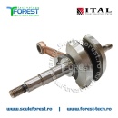 Ambielaj compatibil cal.I drujba Husqvarna 235, 236, 240e