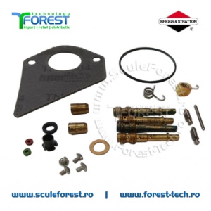 Kit reparatie carburator original Briggs & Stratton 497535 - Img 2