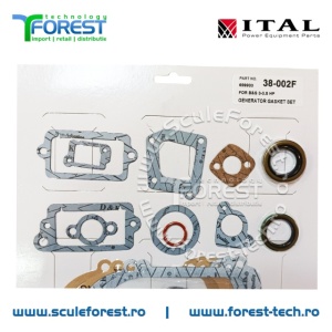 Set garnituri compatibil motor Briggs & Stratton 3.5HP/3.75HP - cod 590777, 298989 - Img 3