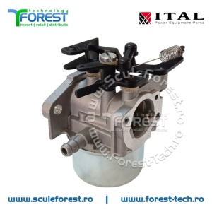 Carburator compatibil pentru motor in 4 timpi Briggs&Stratton