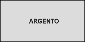 Email sintetic VERNICIONE culoare ARGINTIU - 125ml - Img 2