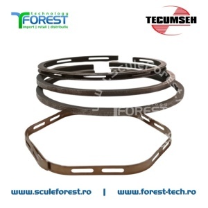 Set segmenti motor 4 timpi Tecumseh - Img 2