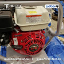 Placa vibranta WEBER CF 2 Hd - motor benzina Honda