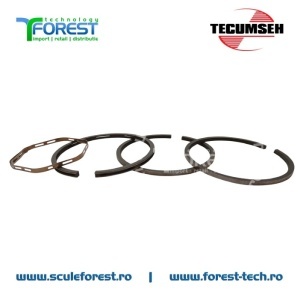 Set segmenti motor 4 timpi Tecumseh - Img 3