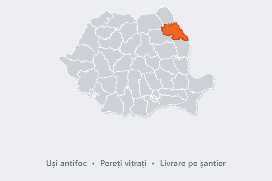 Usi Rezistente la Foc Iași