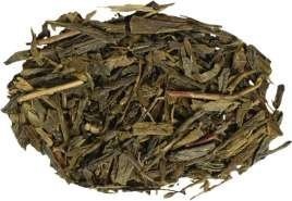 Sencha