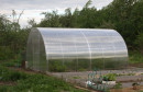 Sera policarbonat Latime 3M cu policarbonat 4mm (include structura si policarbonat)