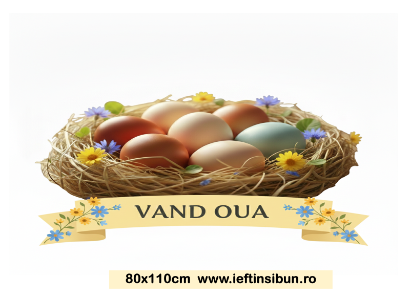 Banner Ouă de Casă-Alege Model