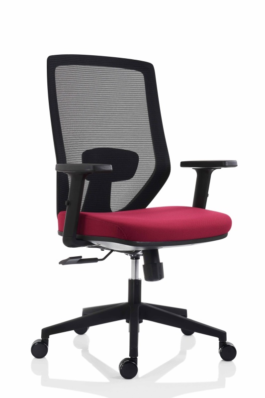 scaun ergonomic zen bordo