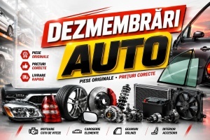 Banner personalizat Dezmembrari Auto model 01