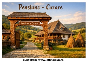 Banner "Pensiune-Cazare" Personalizabil 80X110 cm