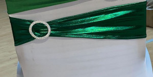 FUNDE lucioase scaune horeca nunti conferinta verde 