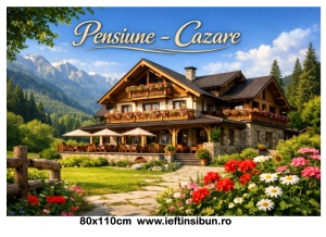 Banner "Pensiune-Cazare" Personalizabil 80X110 cm