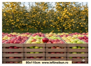 Banner "Vând MERE" 80x110 cm – Personalizabil