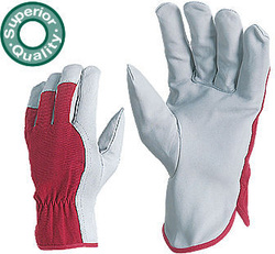 Manusi de protectie piele vitel foarte rezistente la uzura Coverguard, 10xbuc - Img 2