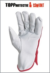 Manusi de protectie piele vitel foarte rezistente la uzura Coverguard, 10xbuc - Img 3