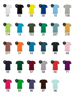 Tricou pastel de vara - Stone grey - Img 3