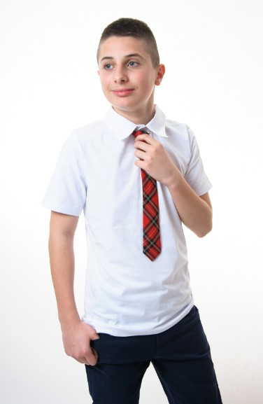 Cravata scoala carouri