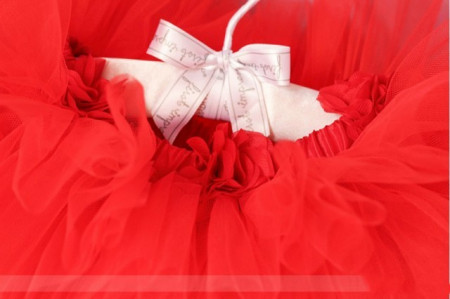 Fustita Red Rose Tutu - Img 2