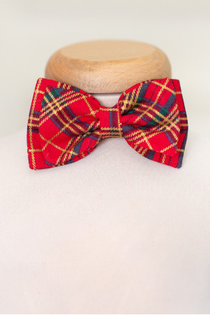 Papion baieti Christmas Gift