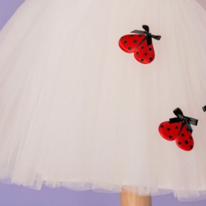 Set botez Summer Ladybug - Img 3