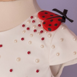 Set botez Summer Ladybug - Img 4