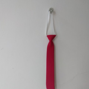 Cravata rosie scoala