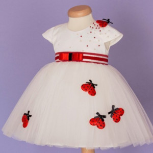 Set botez Summer Ladybug - Img 5