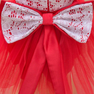 Rochita botez Reds - Img 3