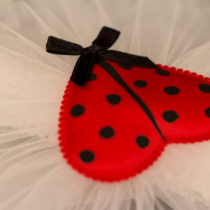 Bentita botez Ladybug - Img 2