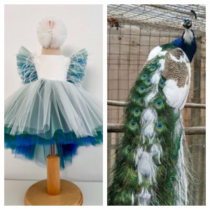 Rochie fete White Peacock - Img 3