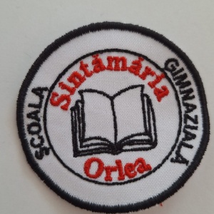 sigla-scolii-sintamaria-orlea