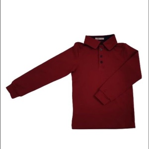 bluze polo visinii