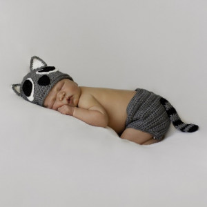 Costum bebelusi Baby Racoon