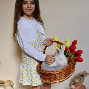 131636 Rochie fete Babybol primavara