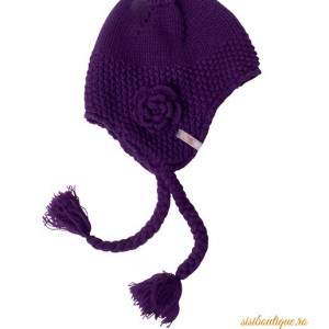 Caciulita tricotata Purple Winter Flower