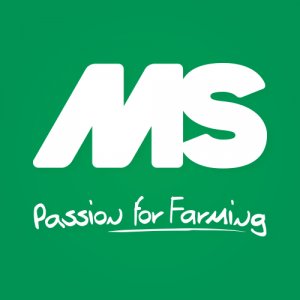 MS