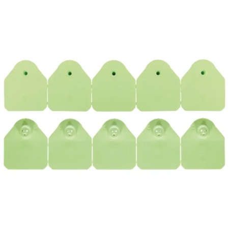 verde
