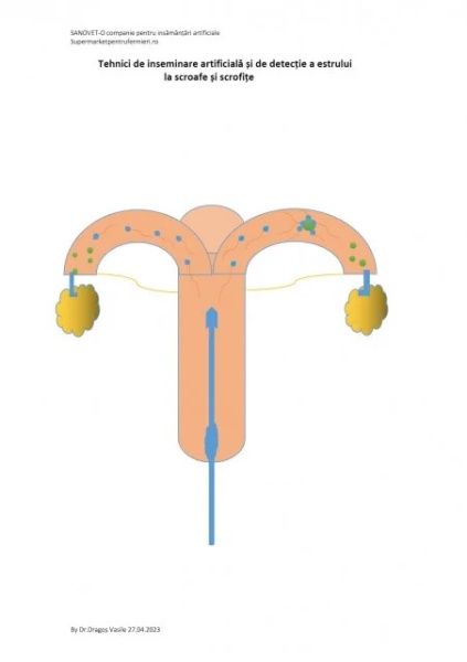 tehnici de inseminare