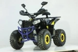 ATV BEMI 140 Merlin 3+1 PRO semi-automat 8" LED - Img 3