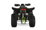 ATV BEMI HULK 125 Automatic R8 PRO - Img 7
